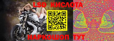 прущие грибы Северобайкальск
