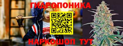 ПСИЛОЦИБИНОВЫЕ ГРИБЫ Свободный