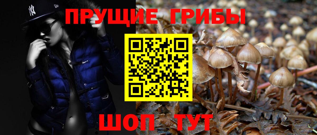 Галлюциногенные грибы прущие грибы Новоуральск